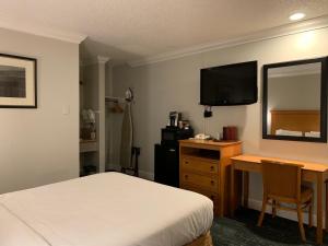 Gallery image of Stargazer Inn and Suites in Monterey