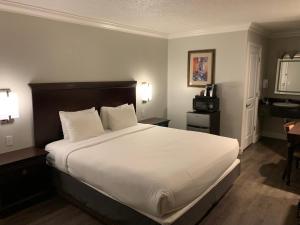 Postel nebo postele na pokoji v ubytování Stargazer Inn and Suites