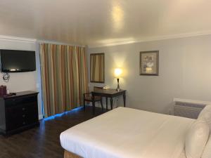 TV a/nebo společenská místnost v ubytování Stargazer Inn and Suites