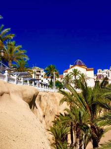 a beach with palm trees and a building at Los ranchos of the sea in Benidorm