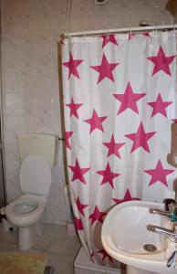 a bathroom with a toilet and a shower curtain with stars at Residencial Rivoli in Fundão