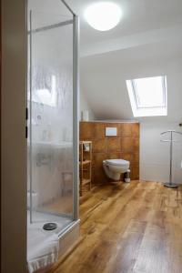 a bathroom with a shower and a toilet at Landhotel Goldener Stern in Trautskirchen