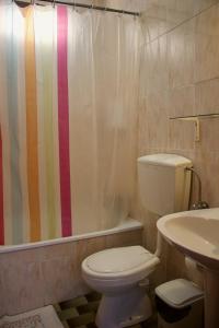 a bathroom with a toilet and a shower curtain at Residencial Tarouca in Fundão