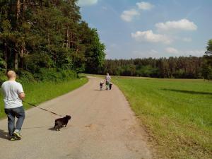 two people walking their dogs on a dirt road at Landhotel Goldener Stern in Trautskirchen
