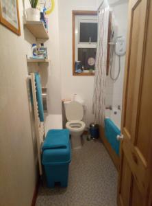 ブリストルにあるBrislington Bristolのバスルーム(トイレ、青いスツール付)