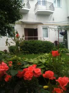 a garden filled with flowers in front of a house at Hotel Lidia in Chişinău