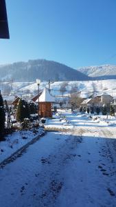 Imagem da galeria de Pensiunea Casa Cristina em Câmpulung Moldovenesc