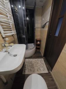 W łazience znajduje się toaleta, umywalka i prysznic. w obiekcie Dziki domek w mieście Sierpnica