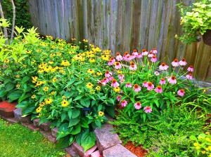 a garden of flowers in front of a fence at Lyndon House Bed & Breakfast in Lexington