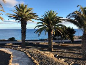 two palm trees on a beach with the ocean at CASA SERAFIN primera linea 40B in Costa Teguise