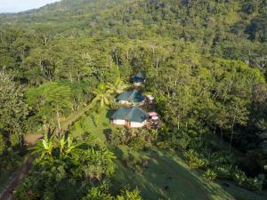 an overhead view of a resort in the forest at Manoas in Uvita