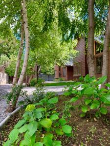 Zahrada ubytování Cabañas Los Laureles - Lican Ray