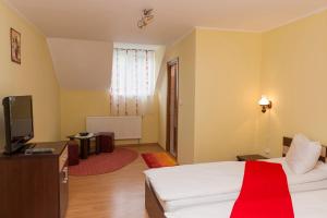 TV a/nebo společenská místnost v ubytování Pensiunea Radu