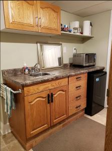 a kitchen with a sink and a microwave at Forest Hill Bed and Breakfast in Kitchener