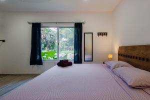 a large bed in a bedroom with a large window at Villas Picalu Studios & Suites in Puerto Aventuras