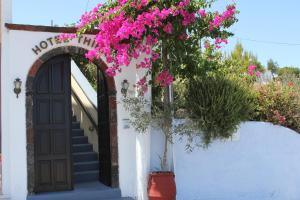Κήπος έξω από το Hotel Thira