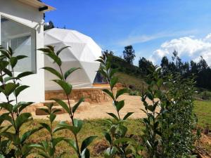 Glamping NIDO VERDE外面的花园