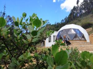 Glamping NIDO VERDE外面的花园