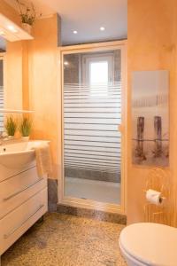 シャルボイツにあるAltes Zollhaus Casa Rusticaのバスルーム(シャワー、トイレ付)、窓が備わります。