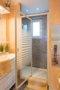 シャルボイツにあるAltes Zollhaus Casa Rusticaのバスルーム(ガラスドア付きのシャワー付)