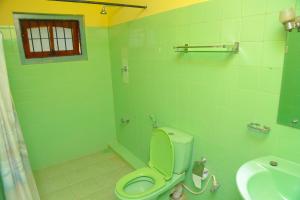 bagno verde con servizi igienici e lavandino di Lucullus Garden a Bentota Altre 20 foto