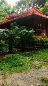 Khaosok Island Resort في خاو سوك: منزل صغير أمامه أشجار نخيل