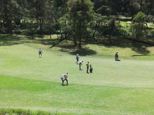 a group of people playing with a dog in a field at King Fern Cottage in Nuwara Eliya