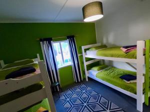 um quarto com 2 beliches e uma janela em Ducks & Drakes Boutique Motel & Backpackers em New Plymouth