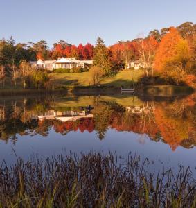 a view of a lake with fall foliage at Dantosa Blue Mountains Retreat in Katoomba