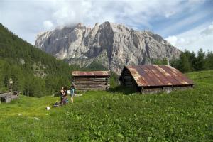 a group of people standing in a field with a mountain at Hotel Albe in Rocca Pietore