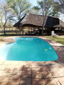 a large blue swimming pool with a thatched hut at Thekwane Holiday House in Klipdrift