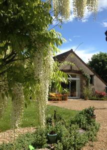 a tree covered in white ivy in front of a house at Gîte La Thibaud in Lavernat