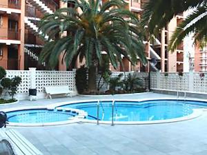 een zwembad met palmbomen en een gebouw bij APARTMENT SALOU MAIN BEACH in Salou