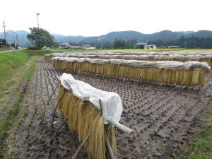 Landskap semula jadi dekat dengan ryokan