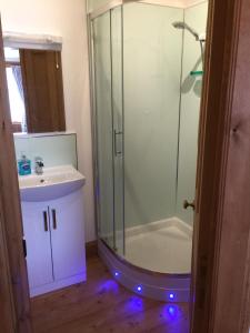 a bathroom with a shower and a sink at Bank Guest House in Coldstream