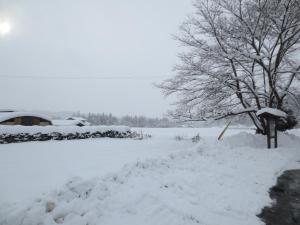 a snow covered yard with a tree and a field at Shitanda in Takayama