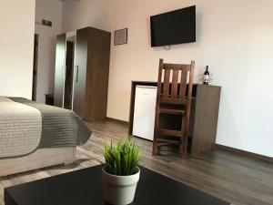 Televízia a/alebo spoločenská miestnosť v ubytovaní Villa Rubčić Rooms