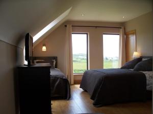 a bedroom with two beds and a tv and a window at Blackberry Lodge Accommodation in Doolin