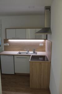 a small kitchen with a sink and a stove at Petite Apartment in Maribor