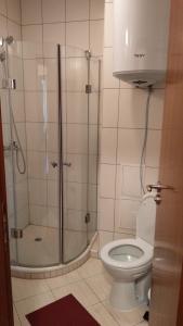 a bathroom with a shower and a toilet at Ski Apartment D50 Cedar Lodge 4 in Bansko +35 photos