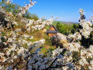 Billede fra billedgalleriet på Osada Knurów i Knurów + 29 billeder