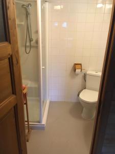 La salle de bains est pourvue d'une douche et de toilettes. dans l'établissement Bladelijn, à Lampernisse