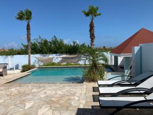 una piscina con 2 palmeras y sillas en Malmok Ocean Front Villa, en Palm-Eagle Beach