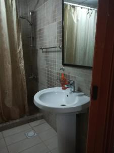 a bathroom with a sink and a shower at Jordan River Hotel in Amman