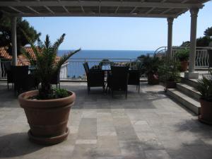 Príroda v okolí apartmánu + 25 fotografií