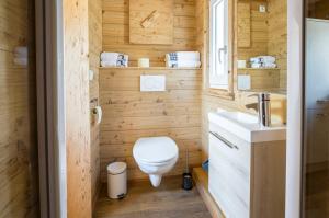 a small bathroom with a toilet and a sink at Tinyhouse Postalm in Abtenau