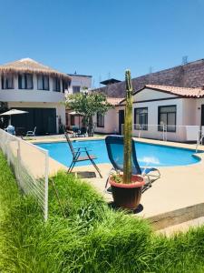 einem Pool mit zwei Stühlen und einem Kaktus in einem Topf neben einem c in der Unterkunft Hotel Cecil in Vallenar