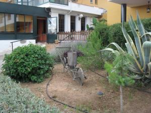 Ogród w obiekcie Hostal San Luis