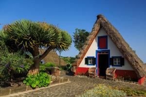 Gallery image of A Casa do Lagar in São Jorge