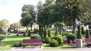 Vonkajšia záhrada v ubytovaní Familien Appartement "Ostsee Perle" neu & modern